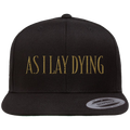 Logo Snapback Hat