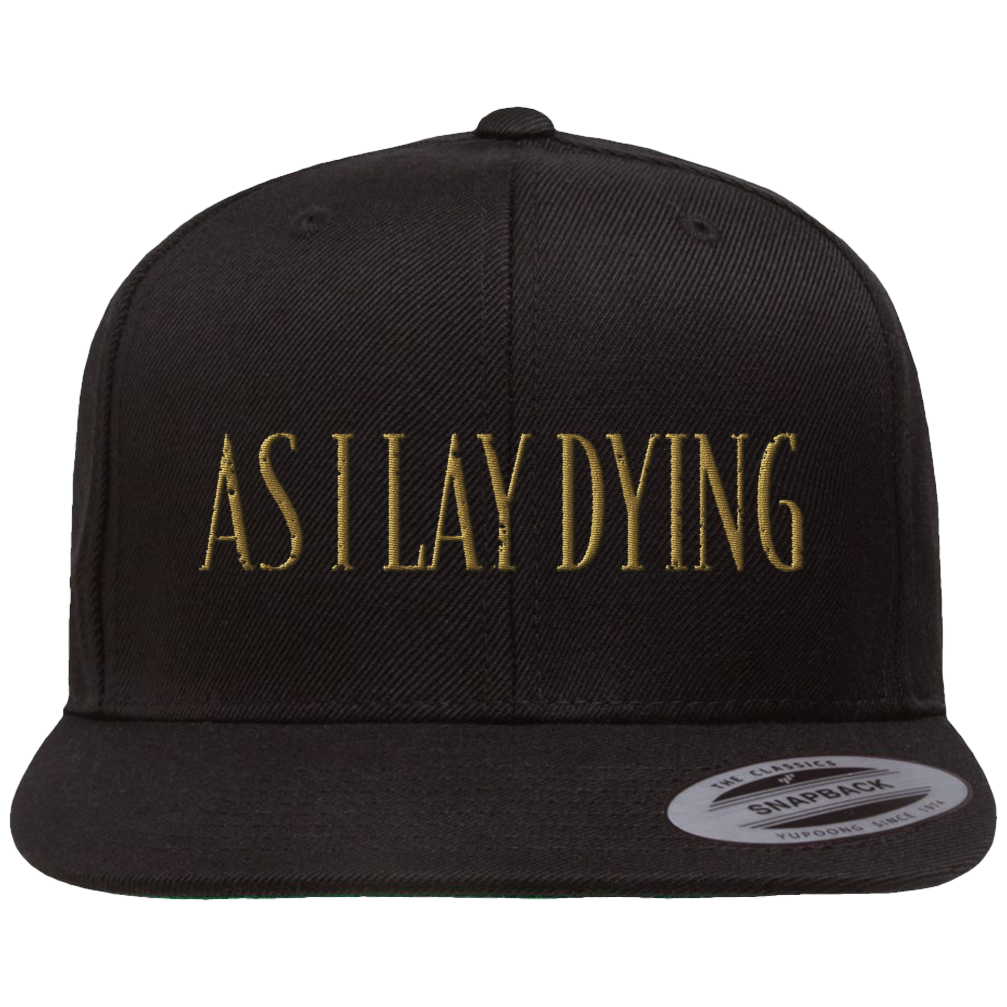 Logo Snapback Hat